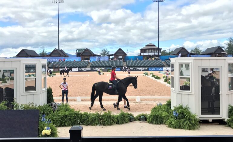 FEI World Equestrian Games
